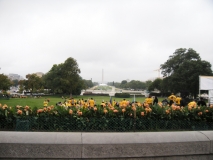 View of the rally looking towards Washington Monument.