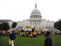 View of the rally looking towards the Capital.