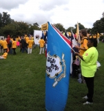 State flags - Connecticut in front.