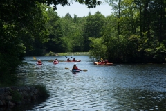 View of pond with kayakers