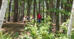 people in the woods