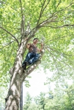 Young man climbs a tree