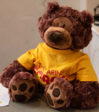 The Caring Bear