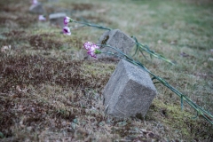 Grave markers with carnations