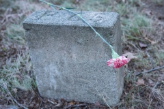 Grave Marker P-66 with carnation