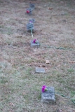 line of markers with carnations