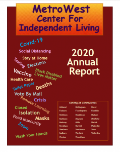 cover of 2020 annual report