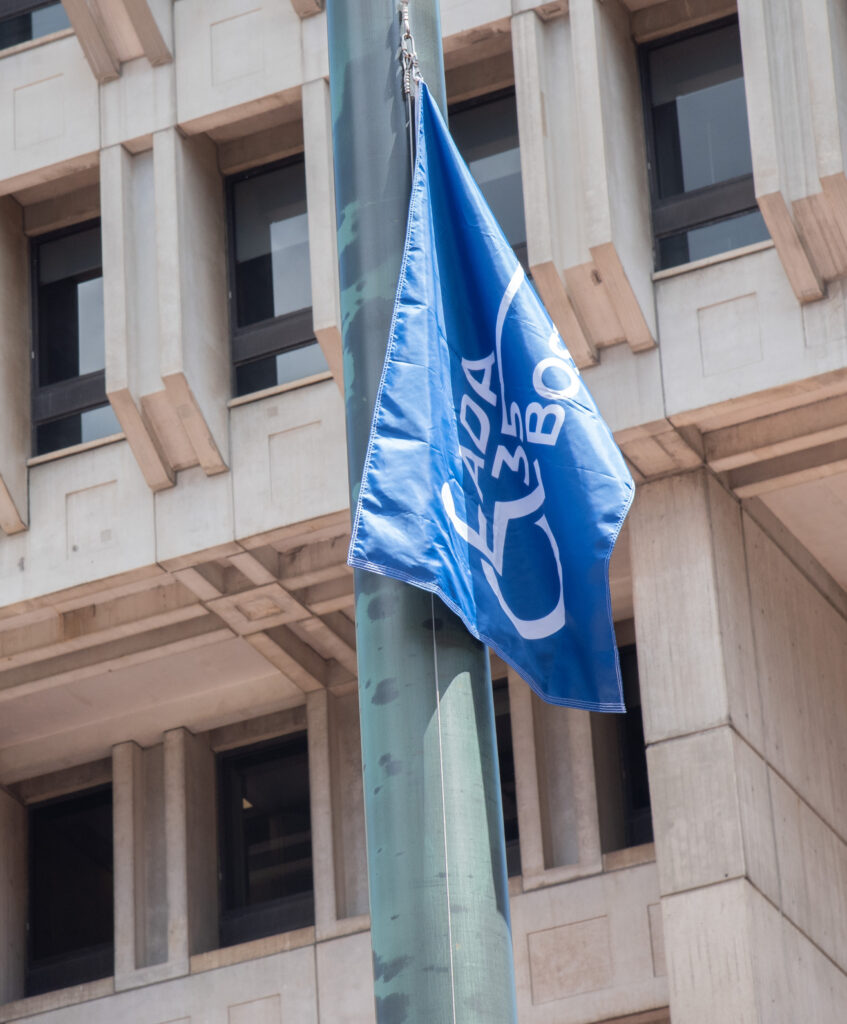 Disability Flag being raised at Boston City Hall
