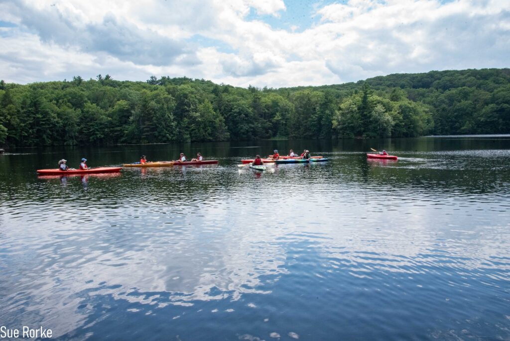 kayaks in pond
