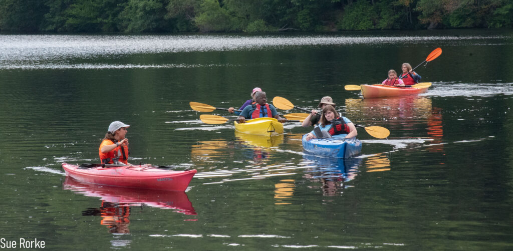 Several kayaks in the water