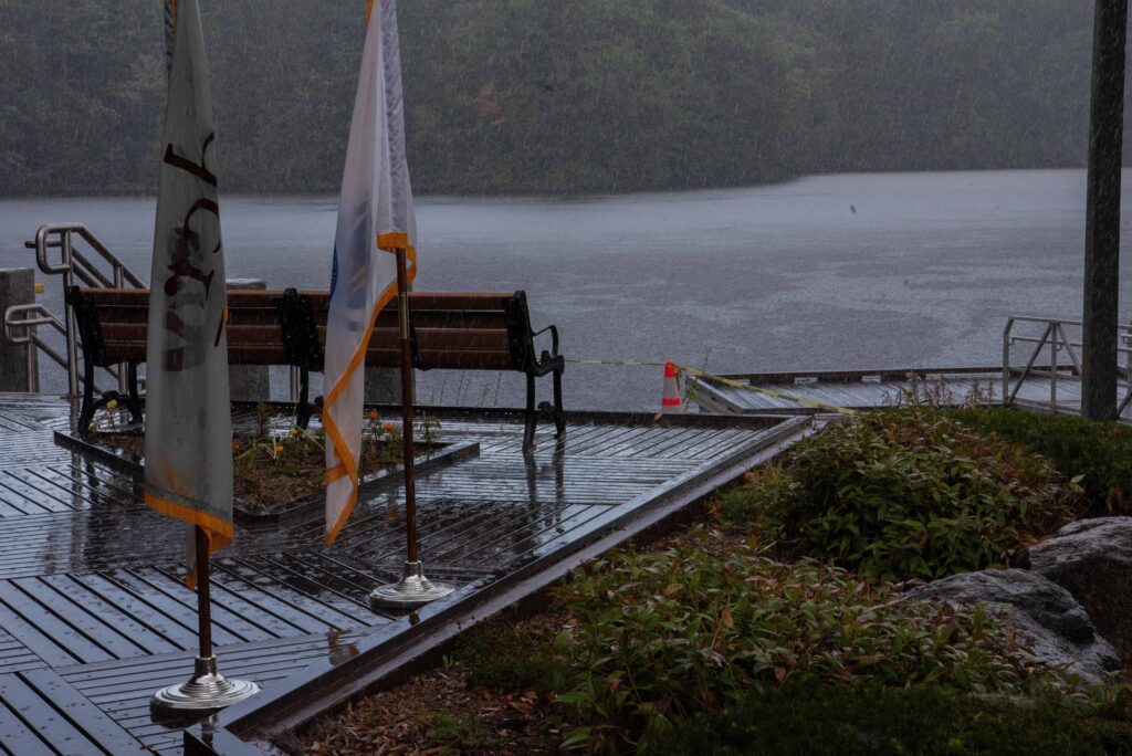 Raining on the pond